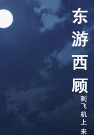 东游西顾